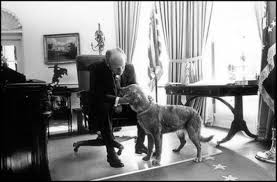 Maybe you would like to learn more about one of these? Gerald Ford S Dog Liberty Presidential Pet Museum