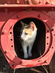 Aspen In The Grain Silo Family Farm