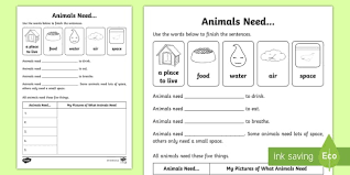 Pupils work together in pairs, with each pair. Animals Worksheet For Kids Primary School Resources