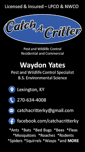 2521 petty drive, bowling green, ky, 42103. Catch A Critter Home Facebook