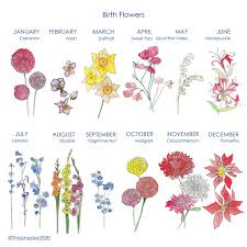 The august birth flower is the gladiolus. Personalised Birth Flower Family Home Print By This Is Nessie Notonthehighstreet Com
