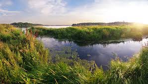 Wetlands are important because they: Wetlands Physical Geography