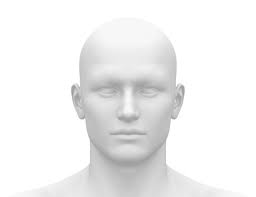 Blank White Male Head: Over 5,213 Royalty-Free Licensable Stock  Illustrations & Drawings