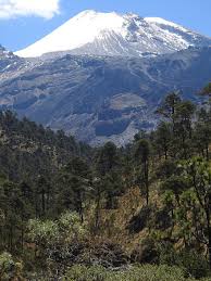 Pico De Orizaba Mountain Forest Glacier Diimine Pine Veracruz Mexico Nevado Landscape Mountains Pikist