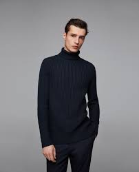 Image 2 De Pull Cotele A Col Roule De Zara Sweaters Textured Sweater Turtleneck Sweater