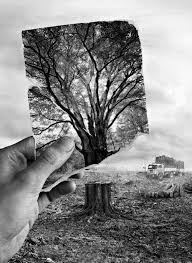 Pin By Rebeca Sarabia On Black And White Environment Photography Environmental Art Art Photography