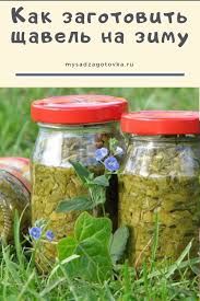 рассольник на зиму из свежих огурцов с томатной пастой Kak Zagotovit Shavel Na Zimu In 2020 Family Kitchen Kitchen Recipes Food