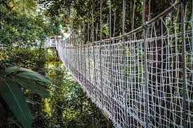 The hidden attractions of Yunnan's Mengla County | GoKunming