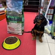 Bravery Super Premium Pet Food Turkiye Evcil Hayvan Magazasi