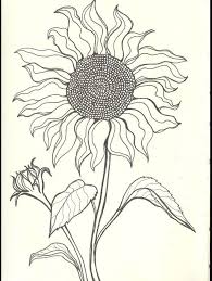 Sun Flower Tattoo Idea Sunflower Drawing Sunflower Art Sunflower Coloring Pages