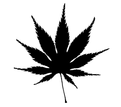 Graphics Rooweb Leaf Silhouette Maple Leaf Tattoo Leaf Tattoos