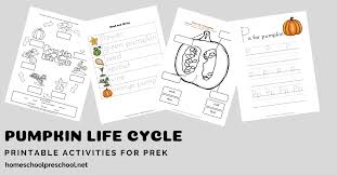 Preschool Life Cycle Of A Pumpkin Printable For Fall