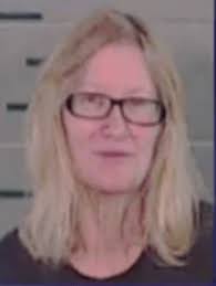 Toddler dies strapped in sweltering 50C car for seven hours when his  great-grandmother FORGOT he'd been with her