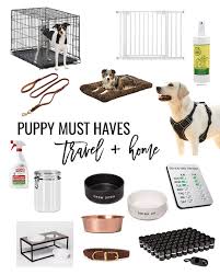 Goldendoodle Puppy Supply List + Must Haves | Brittany Bekas