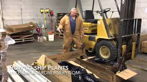 In fact, according to the usps mailing code, most plants are mailable within the united states, as long as the usda does not prohibit them. How To Ship Plants Youtube