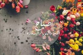 صور صباح الخير واجمل عبارات صباحية للأحبه والأصدقاء موقع مصري tulips flowers my secret garden