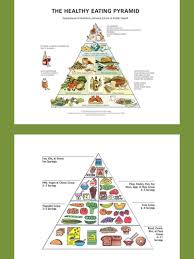 nutrition and healthy eating charts and diagrams with