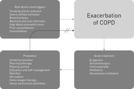 Image result for COPD Exacerbation Prevention