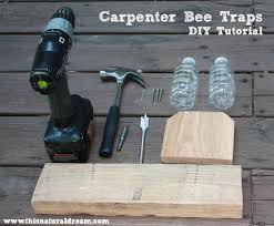 Carpenter Bees A Simple Diy Trap This Natural Dream Carpenter Bee Wood Bee Trap Carpenter Bee Trap