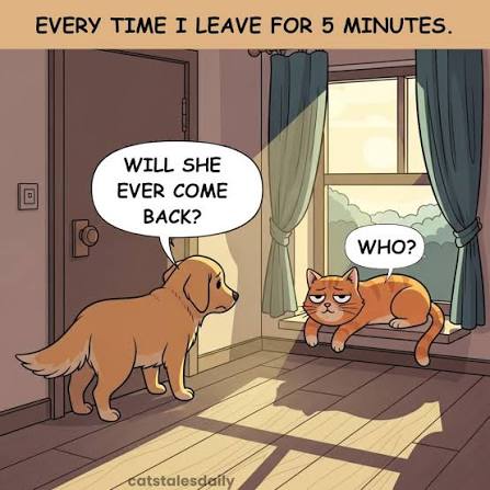 So what kind of pet owner are you? 😅 #comic #comicstrip #comicstrips  #comicpanel #comicpage #comicsofinstagram #comics #comicstuff #webtoon  #webcomics #webcomic #instacomic #indiecomics #instagram #igcomics #humor  #humour #cats #catmemes #cat #dogs ...