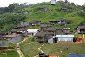 For a full list of these companies click here. The Indigenous People Of Malaysia Expatgo