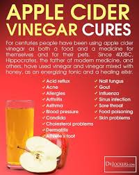 12 Ways To Use Apple Cider Vinegar Drjockers Com Apple Cider Vinegar Health Apple Cider Benefits Apple Cider Vinegar Benefits