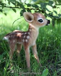 Pin By Gonl U Mahzun On Fauna In 2020 Cute Wild Animals Baby Animals Super Cute Cute Baby Animals