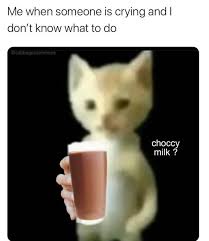 Best happy saturday images and wallpapers. Quick Turtle Thirty Five Humorous Caturday Memes Cat Memes Facebook