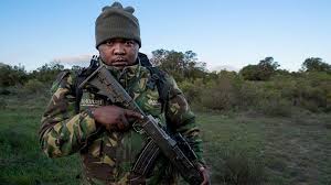 How To Become A Game Ranger Or Field Guide Shamwari