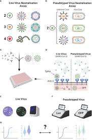 Image result for Neutralization Test