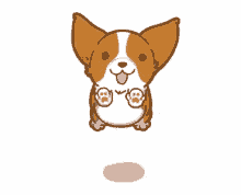 # lol # animals # animal # chill # hipster. Kawaii Cute Cartoon Dog Gif Novocom Top