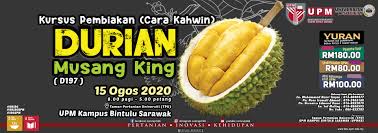 Tekan >> sini << untuk beli benih durian musang king. Kursus Pembiakan Cara Kahwin Durian Musang King D197 Universiti Putra Malaysia Bintulu Sarawak Campus