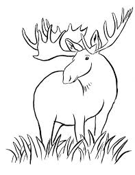 Mouse coloring page with few details for kids. Moose Pic Coloring Home
