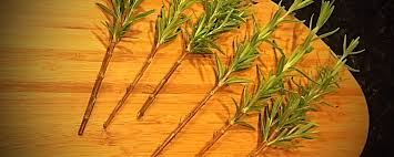 Valued for both its culinary and ornamental properties, evergreen rosemary ( salvia rosmarinus , u.s. How To Propagate Rosemary Earth To Kathy