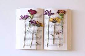 Lay the flower atop the tissue, giving thought to how it will look dried. Pressed Flowers In A Book Book Flowers Flowers Pressed Flowers