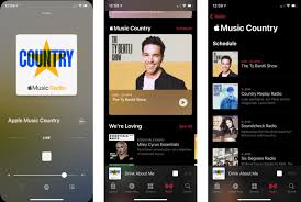De screenshots tonen een bètaversie van apple music en zijn gepubliceerd door de duitse website mobilegeeks. Apple Music Radio Every Little Thing You Want To Know