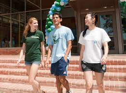 Many of the difficult decisions and situations facing college students entail exploring questions of being; International Student Wikipedia