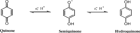 The Reversible Oxidation Reduction Steps For Quinone Hydroquinone Download Scientific Diagram