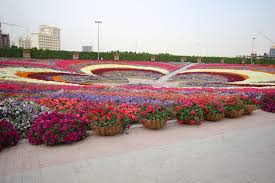 Dubaj Je Zeleny Zazrak Uprostred Pouste Greenspired Schone Orte Dubai Garten Der Schmetterlinge
