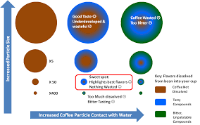 Coffee Flavor Chart Know Your Grinder