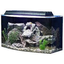 Seaclear Bowfront 36 Gallon Aquarium Combos Big Fish Tanks Large Fish Tanks Fish Tank For Sale