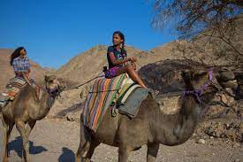 Here you can calculate how many camels your girlfriend or boyfriend is worth. 10 Israel Experiences For The Whole Family Israel Travel Channel