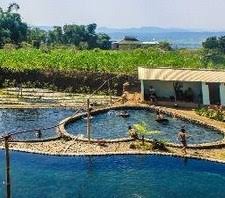 Khastemanggung Wisata Kolam Cinta Di Daerah Ngadirejo Temanggung Jawa Tengah