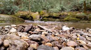 We have about 6 types of river rock to choose from ranging in size from ¾ to 8. Rocks Creek Brook Stone Landscape Nature Water River Stream Forest Scenery Pikist