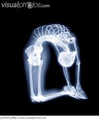 Pin On Gymnast Things
