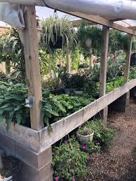 To connect with wyndham garden midland, tx, join facebook today. 6 Local Nurseries And Garden Centers In Midland Tx