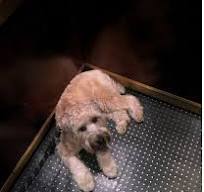 Black Smooth Stainless Steel Metal Studded Elevator Floor Tile
