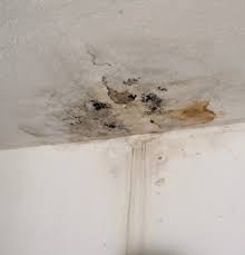 Know the dangers of fixing a gas line on your own and hire a professionl. Ceiling Water Leak Finding The Leak Repairs Preventing Mold