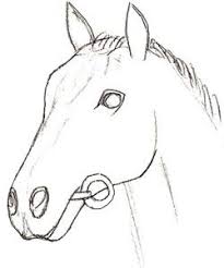 How To Draw A Horse Head Draw Step By Step Horse Head Drawing Horse Drawings Horse Head