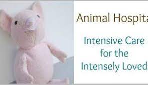 How To Repair A Special Stuffed Animal Applying A Patch Whileshenaps Com Animals Paw Pads Repair